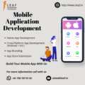 Mobile App Development Services &ndash; Android & IOS Experts At ILeaf Technology