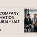 LLC Company Formation In The UAE: A Complete Guide