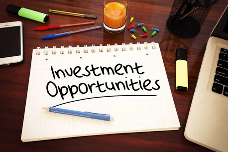Paris, Business Partners, Investors Wanted In Multiple Projects.