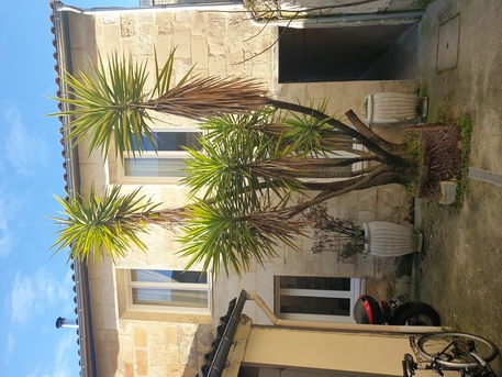 Bordeaux, Apartments/Houses, EUR 2890/month,  Furnished,  3 BR,  Meubl?e &ndash; Maison Familiale 157 M? &ndash; Quartier Fondaud?ge, Bordeaux Centre