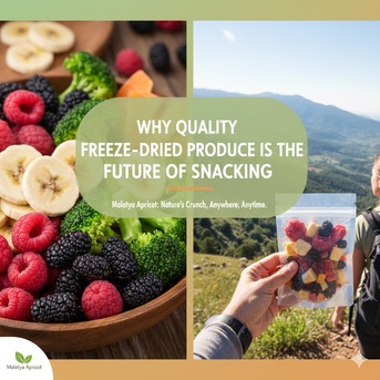 Istanbul, Auto Parts, Why Quality Freeze-Dried Produce Is The Future Of Snacking