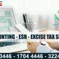 ACCOUNTANT - ESR - EXCISE TAXES