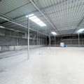 BHD 450,  BRAND NEW | WAREHOUSE | STORAGE | 600 SQM 66699914