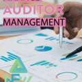 Finance Auditor Management