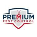 Top Spider Control And Pest Management Solutions In Palmerston North
