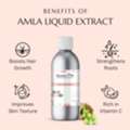 INR 249,  Amla Liquid Extract For Hair & Skin Care | Raasa Oils
