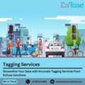 Streamline Your Data With Accurate Tagging Services From EnFuse Solutions