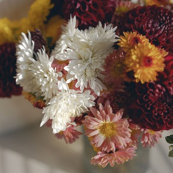 Houston, Florist, Floral Concepts - Houston