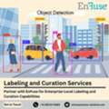 Partner With EnFuse For Enterprise-Level Labeling And Curation Capabilities