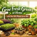 Grow Fresh Greens At Home With Our DIY Plant Grow Kit