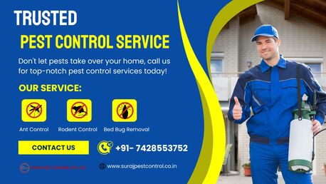 New Delhi, Pest Control, Trusted Pest Control In Connaught Place