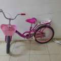 SAR 250,  Girls Cycle