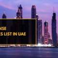 DED License Activities List In UAE - AE Setup