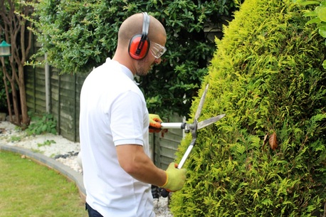 London, Household, Local Gardener In London