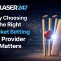 Why Choosing The Right Cricket Betting ID Provider Matters