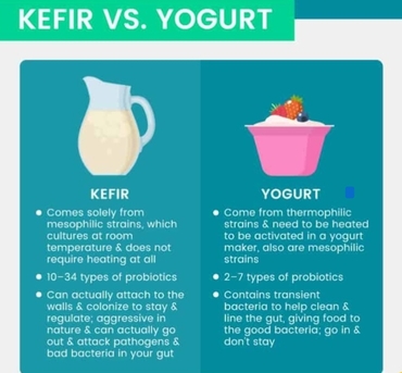 Dammam, Food, SAR 30,  Kefir Grains