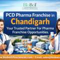INR 50000, PCD Pharma Franchise In Chandigarh Available – WHO GMP Certified Company