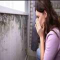Health-Focused Mold Testing For Safer Annapolis Homes