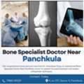Bone Specialist Doctor Near Panchkula