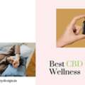 Best CBD Oil For Wellness And Balance