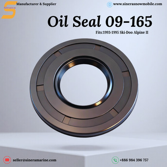 New York, Boats, Polaris PWC Oil Seal Kit