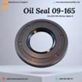 Polaris PWC Oil Seal Kit