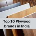 Top 10 Best Plywood In India