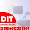 Audit Monitoring Consultant Adviser
