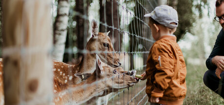 Los Angeles, Software, Digital Membership Card Solution For Zoos