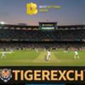 Tiger Exch Cricket Betting Guide: Win Smarter | BestBettingIndia