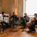 String Quartet Coffs Harbour For Weddings & Events | String Musicians