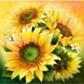 Sunflower Fabric By The Yard