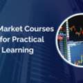 Share Market Courses Online For Practical Market Learning