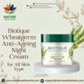 USD 111,  Biotique Wheatgerm Anti-Ageing Night Cream For All Skin Type