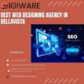 Best Web Designing Agency In Bellavista
