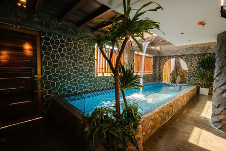 Da Nang, Apartments/Houses, VND 15000000/month,  Furnished,  1 BR,  Brand New Apartment For Rent &ndash; 1 Bedroom