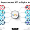 Why Businesses Trust A Professional SEO Agency In Noida For Real Growth