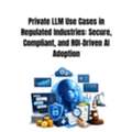 Private LLM Use Cases In Regulated Industries: Secure, Compliant, And ROI-Driven AI Adopti