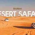 Best Desert Safari Dubai Packages In 2026 For Travelers
