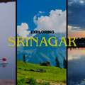 Srinagar Tour Packages &ndash; Hassle-Free Kashmir Trip Planning