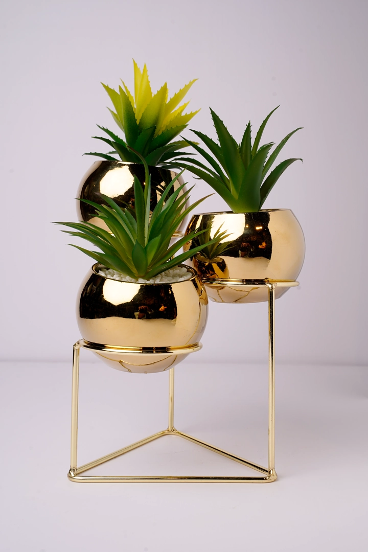 Ahmedabad, Watches, INR 5000,  Home Decor Shops In Ahmedabad