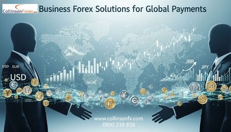 Auckland, Purses & Wallets, NZD 100,  Business Currency Exchange Made Simple & Cost-Effective &ndash; Collinson Forex