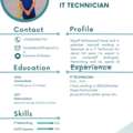 IT Technician Professional Person