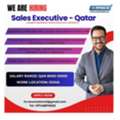 SENIOR SALES EXECUTIVE - NEWMATIC GROUP