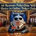 What Is PokerShip Online Poker Club?