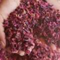 Rose Petals Manufacturer And Supplier In India