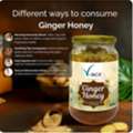 INR 350,  Ginger Honey | Natural Support For Cough & Throat