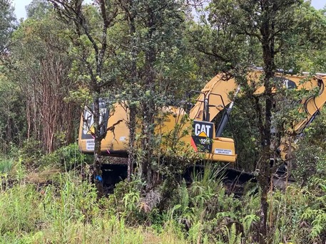 New York, Business, Professional Forestry Mowing Experts For Hawaii Properties - Arborist Services