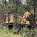 Professional Forestry Mowing Experts For Hawaii Properties - Arborist Services