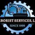 Expert Arborist, Hilo Hawaii - Arborist Services
